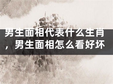 男生面相代表什么生肖，男生面相怎么看好坏