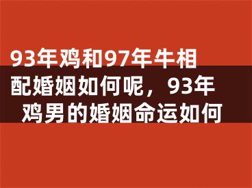 93年鸡和97年牛相配婚姻如何呢,93年鸡男的婚姻命运如何