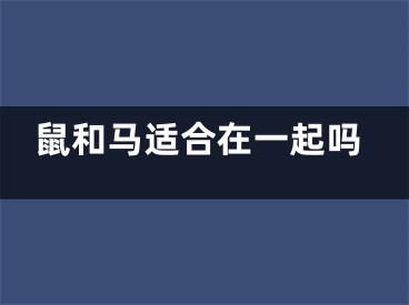 鼠和马适合在一起吗