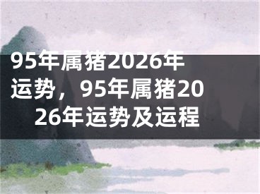 95年属猪2026年运势,95年属猪2026年运势及运程