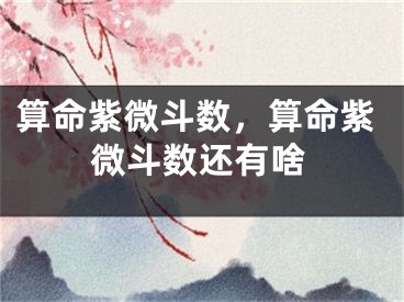 算命紫微斗数,算命紫微斗数还有啥