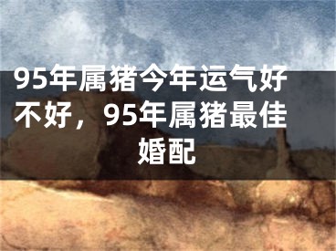 95年属猪今年运气好不好，95年属猪最佳婚配