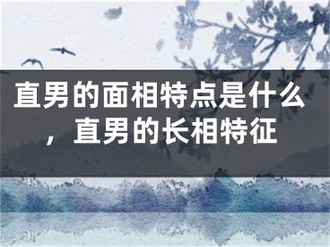 直男的面相特点是什么,直男的长相特征