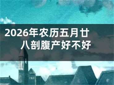2026年农历五月廿八剖腹产好不好