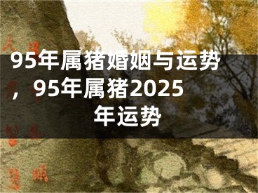 95年属猪婚姻与运势,95年属猪2025年运势