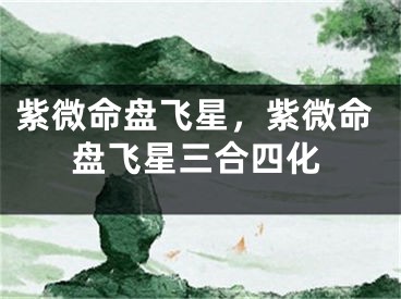 紫微命盘飞星，紫微命盘飞星三合四化