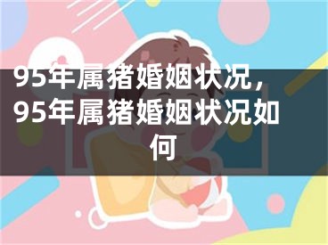 95年属猪婚姻状况,95年属猪婚姻状况如何