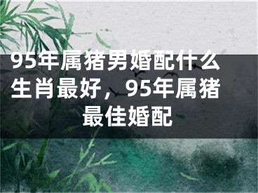 95年属猪男婚配什么生肖最好,95年属猪最佳婚配