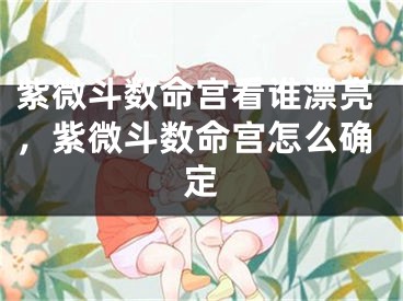 紫微斗数命宫看谁漂亮,紫微斗数命宫怎么确定