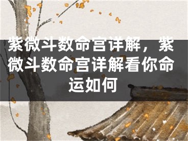 紫微斗数命宫详解,紫微斗数命宫详解看你命运如何