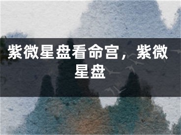 紫微星盘看命宫，紫微星盘