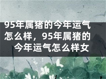 95年属猪的今年运气怎么样,95年属猪的今年运气怎么样女