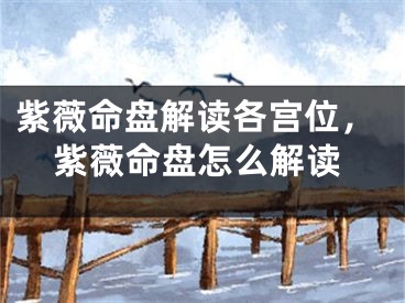紫薇命盘解读各宫位，紫薇命盘怎么解读