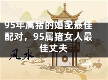 95年属猪的婚配最佳配对,95属猪女人最佳丈夫