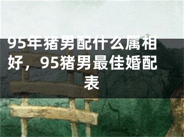 95年猪男配什么属相好,95猪男最佳婚配表