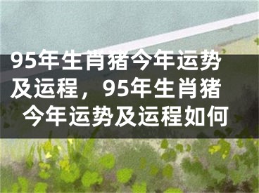 95年生肖猪今年运势及运程,95年生肖猪今年运势及运程如何