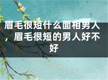 眉毛很短什么面相男人,眉毛很短的男人好不好