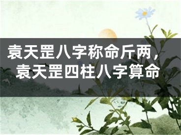 袁天罡八字称命斤两,袁天罡四柱八字算命