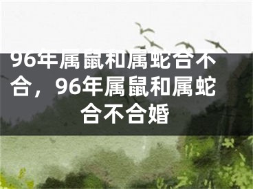 96年属鼠和属蛇合不合,96年属鼠和属蛇合不合婚