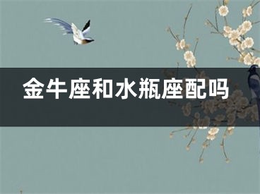 金牛座和水瓶座配吗