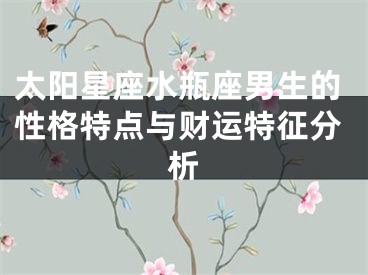 太阳星座水瓶座男生的性格特点与财运特征分析