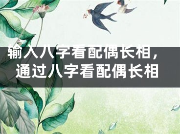 输入八字看配偶长相，通过八字看配偶长相