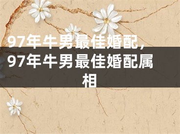97年牛男最佳婚配,97年牛男最佳婚配属相
