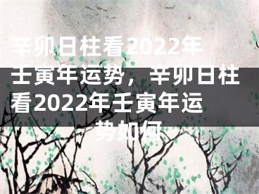 辛卯日柱看2022年壬寅年运势，辛卯日柱看2022年壬寅年运势如何