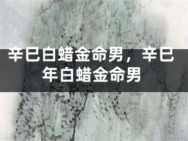辛巳白蜡金命男，辛巳年白蜡金命男
