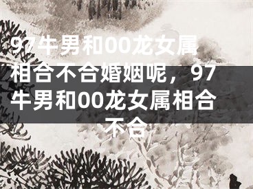 97牛男和00龙女属相合不合婚姻呢,97牛男和00龙女属相合不合