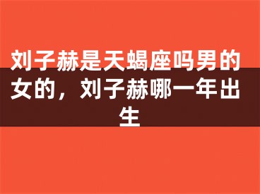 刘子赫是天蝎座吗男的女的，刘子赫哪一年出生