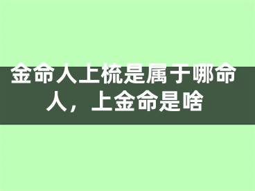 金命人上梳是属于哪命人，上金命是啥