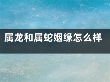属龙和属蛇姻缘怎么样