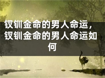 钗钏金命的男人命运，钗钏金命的男人命运如何