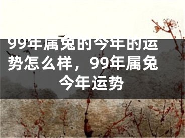 99年属兔的今年的运势怎么样，99年属兔今年运势