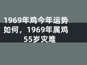 1969年鸡今年运势如何,1969年属鸡55岁灾难