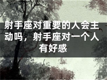 射手座对重要的人会主动吗，射手座对一个人有好感
