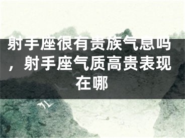 射手座很有贵族气息吗，射手座气质高贵表现在哪
