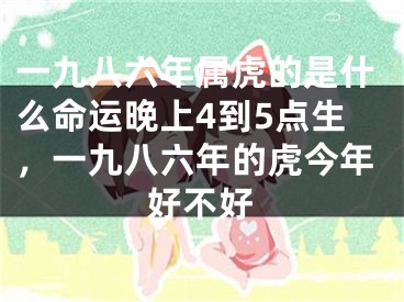 一九八六年属虎的是什么命运晚上4到5点生，一九八六年的虎今年好不好