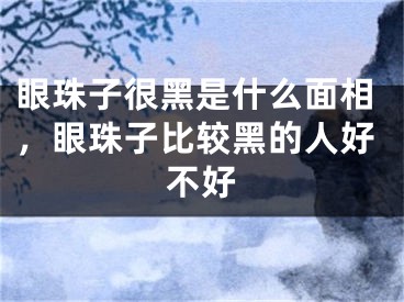 眼珠子很黑是什么面相,眼珠子比较黑的人好不好
