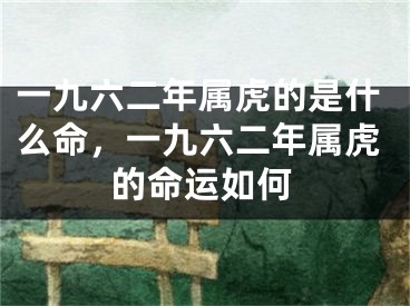 一九六二年属虎的是什么命，一九六二年属虎的命运如何