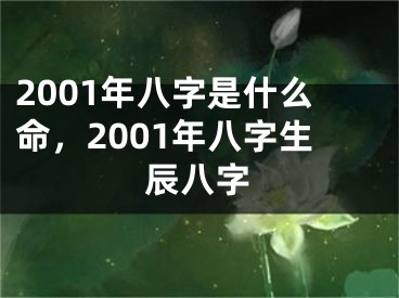 2001年八字是什么命,2001年八字生辰八字
