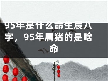 95年是什么命生辰八字,95年属猪的是啥命