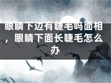 眼睛下边有睫毛吗面相，眼睛下面长睫毛怎么办