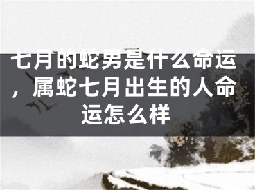 七月的蛇男是什么命运，属蛇七月出生的人命运怎么样
