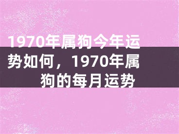 1970年属狗今年运势如何，1970年属狗的每月运势