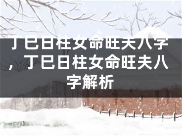 丁巳日柱女命旺夫八字，丁巳日柱女命旺夫八字解析