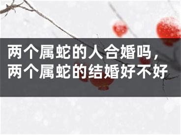 两个属蛇的人合婚吗，两个属蛇的结婚好不好