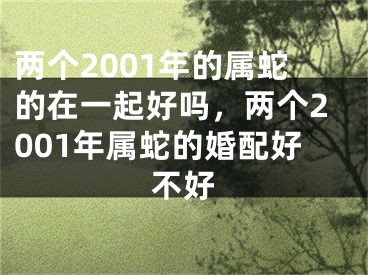 两个2001年的属蛇的在一起好吗，两个2001年属蛇的婚配好不好