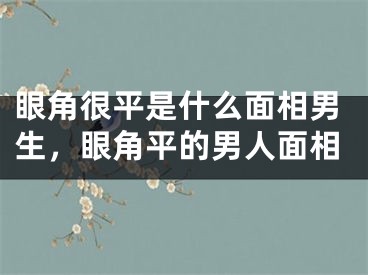 眼角很平是什么面相男生，眼角平的男人面相